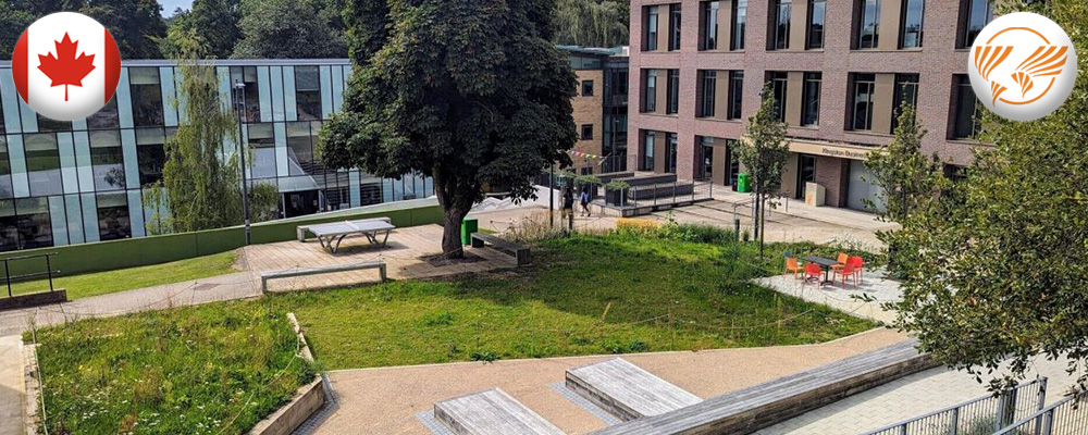 kingston-university4