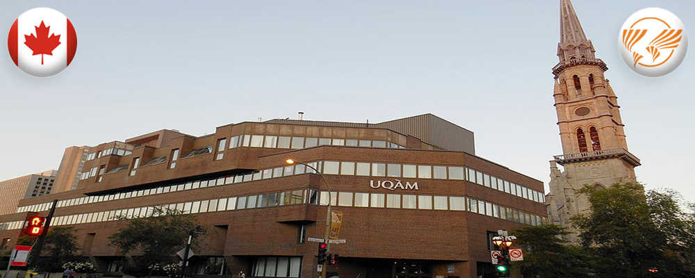 education-in-montreal-universities11