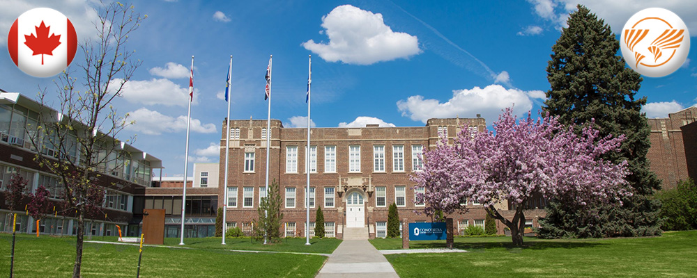 education-in-edmonton-universities5