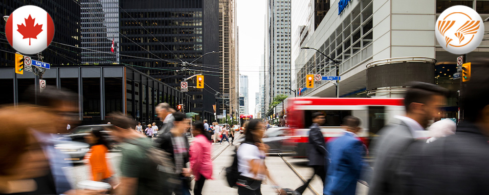 work-in-toronto2
