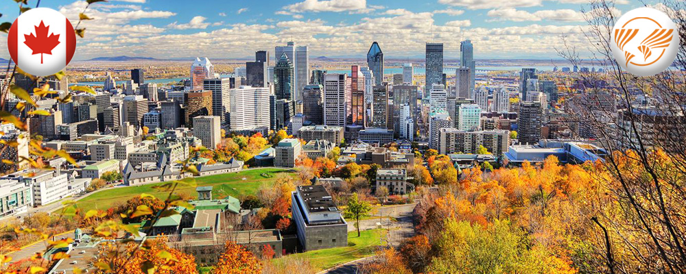 work-montreal2