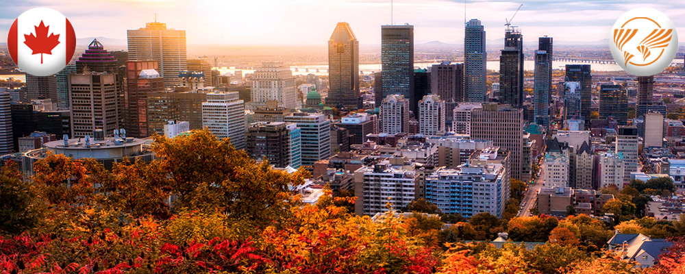 work-montreal1